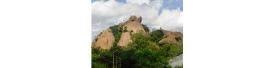 திருச்செங்கோடு